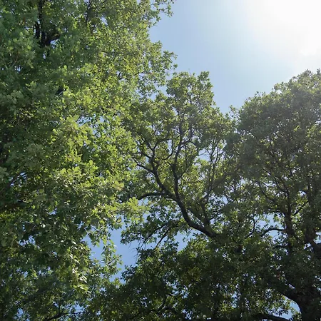 拉罗卡公寓 4* 马焦内